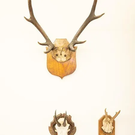 Apartmán Berghaus Traumblick